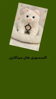 اکسسوری های پت میناکاری